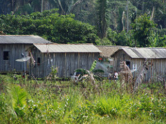 building wooden shed